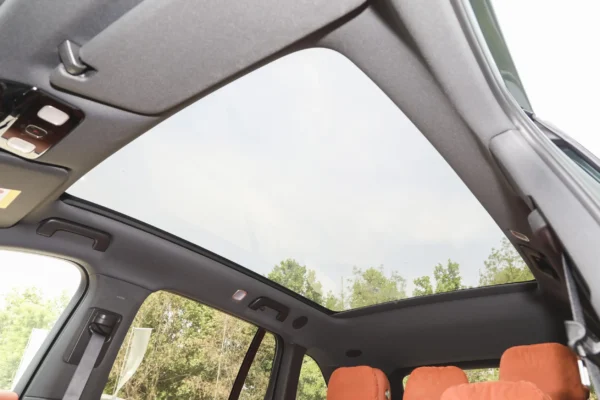 Li L6 interior black & orange