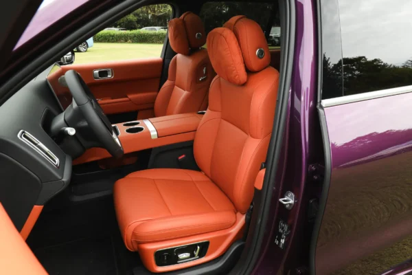 Li L9 interior