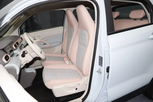 Leapmotor T03 interior salt blue & cherry pink