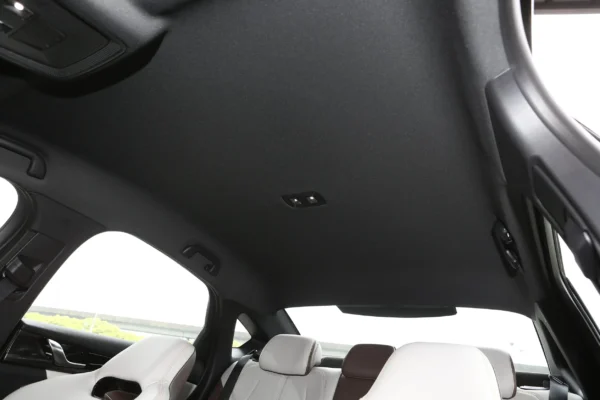 BYD Qin PLUS DM-i interior brown