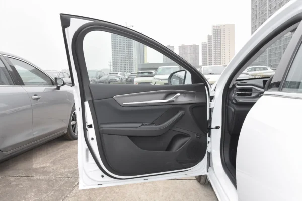 BYD Destroyer 05 interior