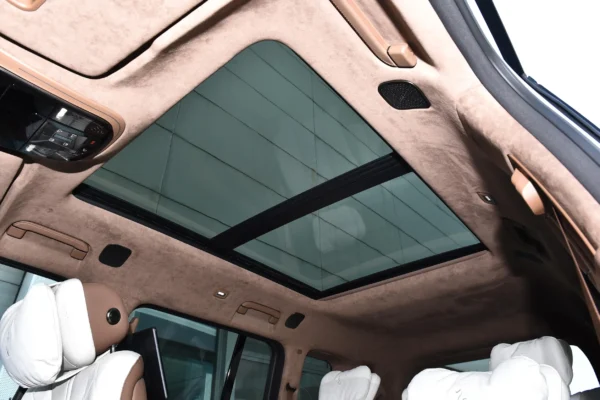 Yangwang U8 interior gray brown