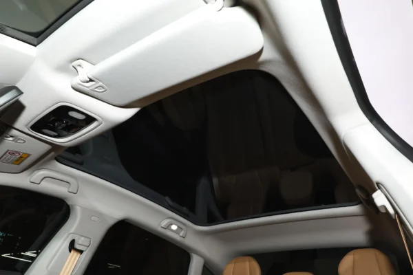 Leapmotor C01 interior gray & brown