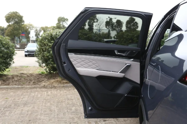 BYD Tang DM-i interior