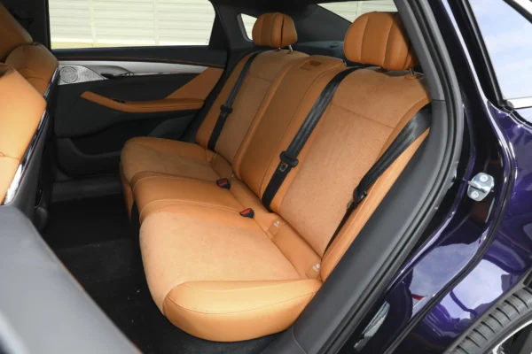 Voyah Light Chaser PHEV interior brown & black