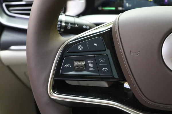 Denza D9 DM interior